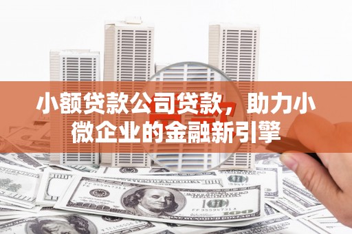 泗阳小额贷款公司贷款，助力小微企业的金融新引擎