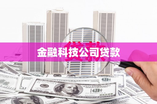 岭东金融科技公司贷款