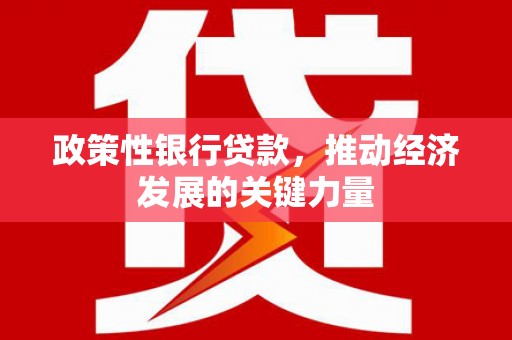 西固政策性银行贷款，推动经济发展的关键力量