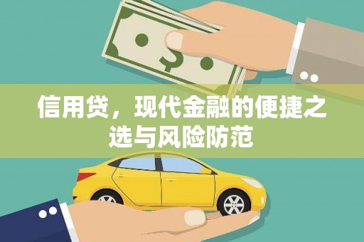 田阳信用贷，现代金融的便捷之选与风险防范