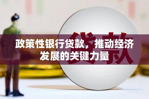 零陵政策性银行贷款，推动经济发展的关键力量