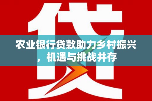 民丰农业银行贷款助力乡村振兴，机遇与挑战并存