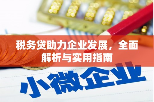 德昌税务贷助力企业发展，全面解析与实用指南