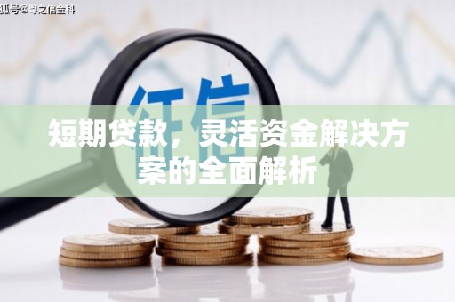 西盟短期贷款，灵活资金解决方案的全面解析