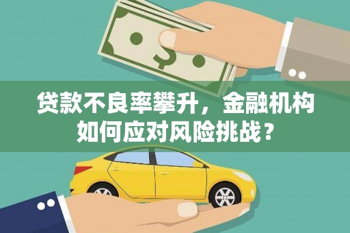 大武贷款不良率攀升，金融机构如何应对风险挑战？