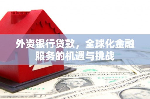 东阿外资银行贷款，全球化金融服务的机遇与挑战