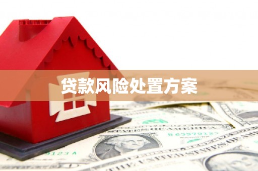 昆都仑贷款风险处置方案