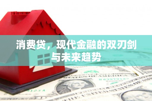 港南消费贷，现代金融的双刃剑与未来趋势