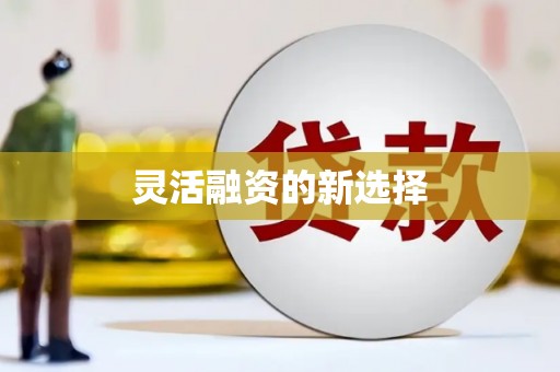 梨树灵活融资的新选择