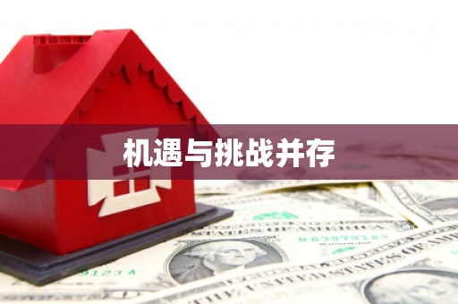 临翔机遇与挑战并存 临翔机遇与挑战并存