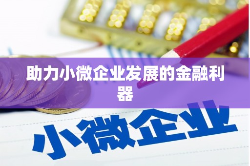 宁河助力小微企业发展的金融利器