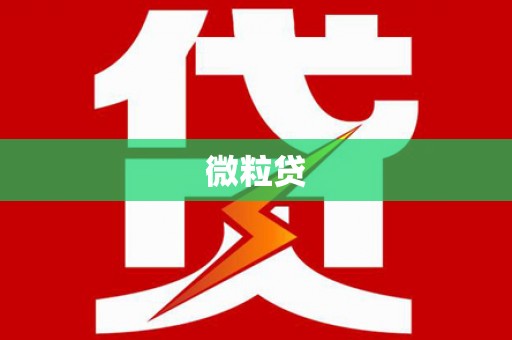 沙洋微粒贷
