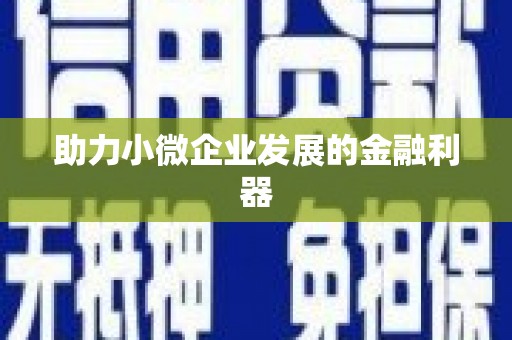 邵阳县助力小微企业发展的金融利器