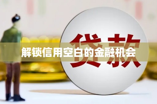 柳营解锁信用空白的金融机会