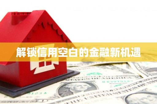 浦东解锁信用空白的金融新机遇