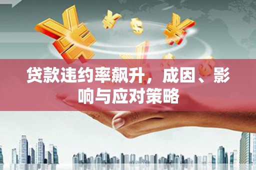 郴州贷款违约率飙升，成因、影响与应对策略